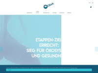 ocean-now.org Webseite Vorschau