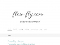 flow-fly.com Webseite Vorschau