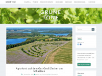 gruene-toene.de Webseite Vorschau