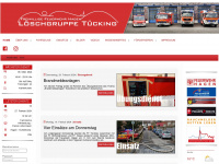 ff-tuecking.de Webseite Vorschau