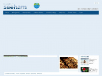 seeham-info.at Webseite Vorschau