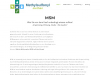 methylsulfonylmethan.com Webseite Vorschau