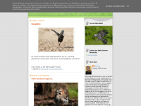 corvus-monedula.blogspot.com Webseite Vorschau