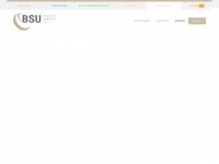 bsu-projekt-service.de Webseite Vorschau