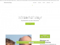winzerhof-mayr.at Thumbnail