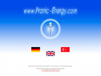 pranic-energy.com Webseite Vorschau