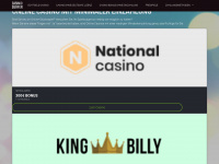 casino-surfer.com Webseite Vorschau