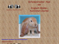 englischwidder.ch Webseite Vorschau