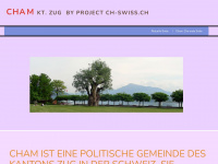 zg-cham.ch Webseite Vorschau