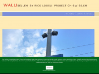 zh-wallisellen.ch Webseite Vorschau