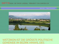 zh-wetzikon.ch Webseite Vorschau