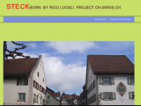 tg-steckborn.ch Webseite Vorschau