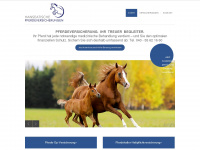 hanseatische-pferdeversicherungen.de Webseite Vorschau