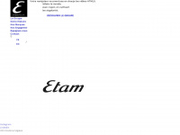 etam-groupe.com Webseite Vorschau