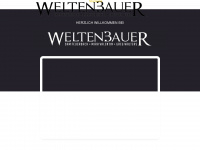weltenbauer3.de Webseite Vorschau