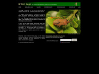 britishbugs.org.uk Webseite Vorschau