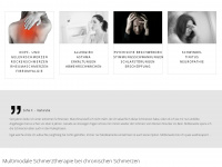 akupunktur-bei-schmerzen.de Webseite Vorschau