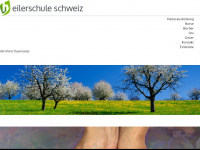 heilerschuleschweiz.ch Webseite Vorschau