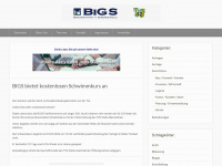 bigsinstelle.de Webseite Vorschau
