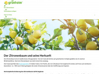 zitronenbaum-info.de Webseite Vorschau
