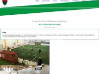 soccerdome-schweinfurt.de Webseite Vorschau