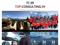 top-consulting99.com Webseite Vorschau