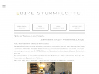ebikesturmflotte.com Webseite Vorschau