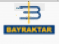 bayraktargroup.eu Webseite Vorschau