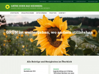 gruene-hbm.de Webseite Vorschau