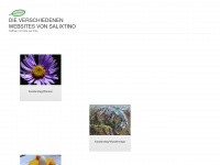 salixtino.ch Webseite Vorschau