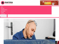 pantel.com.pe Webseite Vorschau