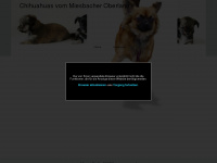 chihuahuas-vom-miesbacher-oberland.de Webseite Vorschau