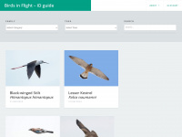 birds-in-flight.net