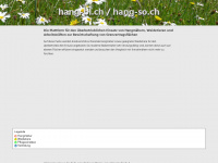 hang-bl.ch Webseite Vorschau