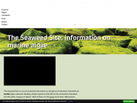 seaweed.ie Webseite Vorschau