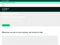 enterprise-ireland.com Webseite Vorschau