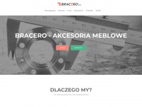bracero.pl Webseite Vorschau