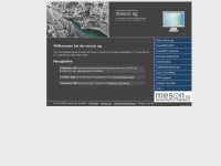 meson.ch Webseite Vorschau