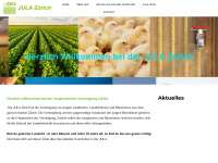 julazuerich.ch Webseite Vorschau