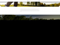 golfmedical.ch Webseite Vorschau