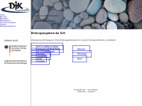 djk-akademie.de Webseite Vorschau