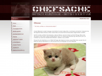 bkh-chefsache.de Webseite Vorschau
