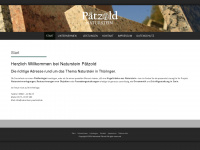 naturstein-paetzold.de Webseite Vorschau