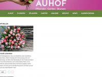 auhof.li Webseite Vorschau