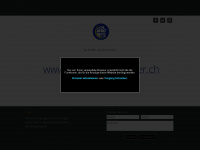 ferreirareinigungen.ch Webseite Vorschau