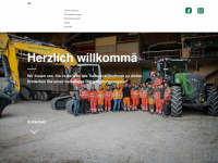 mosertiefbau.ch Webseite Vorschau