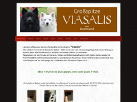 viasalis.de Webseite Vorschau