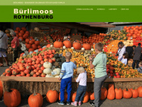 buerlimoos.ch Webseite Vorschau