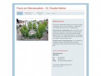 praxisamsteinwiesplatz.ch Webseite Vorschau