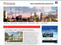 mice-in-singapur.com Webseite Vorschau